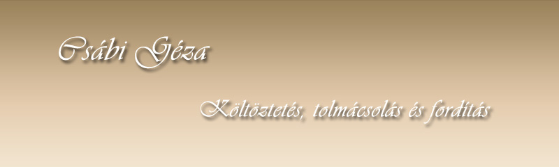 Csábi Géza - Kötöztetés, tolmácsolás és fordítás